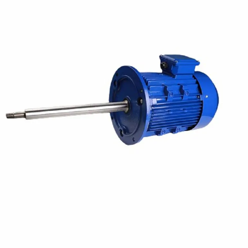 Acid Pump Motor